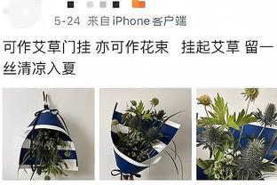 申京：我们仍是年轻的队伍 范弗里特已经教给我很多东西