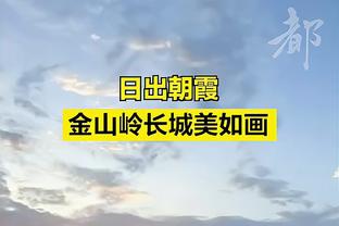 欧文：没时间互相安慰了 若东契奇身体不佳他会选择休息的